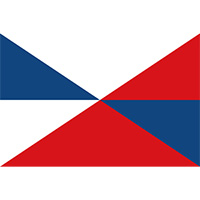Rebelové